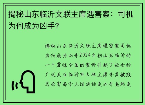 揭秘山东临沂文联主席遇害案：司机为何成为凶手？