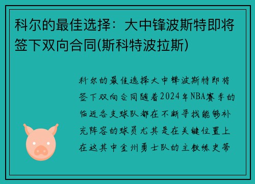 科尔的最佳选择：大中锋波斯特即将签下双向合同(斯科特波拉斯)