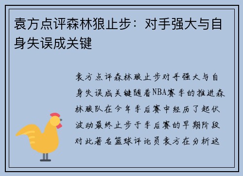 袁方点评森林狼止步：对手强大与自身失误成关键