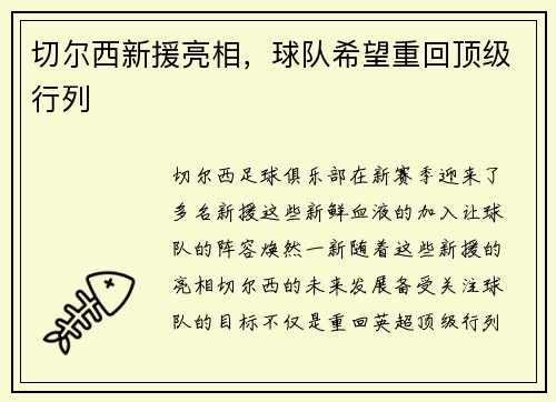 切尔西新援亮相，球队希望重回顶级行列